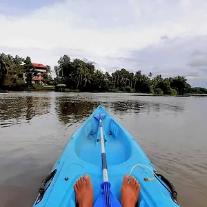 https://pearl-spot.kerala-hotels.net